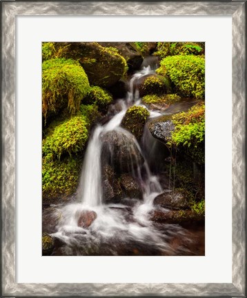 Framed Creek In Sol Duc Valley, Washington Print