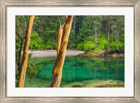 Framed Secluded Bay On Sucia Island, Washington State Print