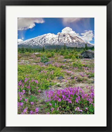 Framed Mount Saint Helens Landscape, Washington State Print