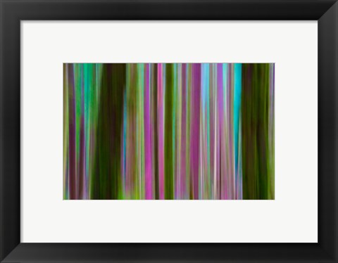 Framed Abstract Of Hoh Rain Forest At Dusk Print