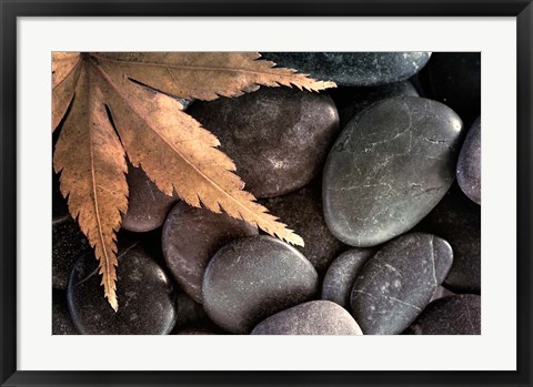 Framed Zen Maple Leaf On Rocks Print