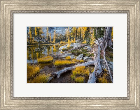 Framed Horseshoe Lake Landscape In The Alpine Lakes Wilderness Print