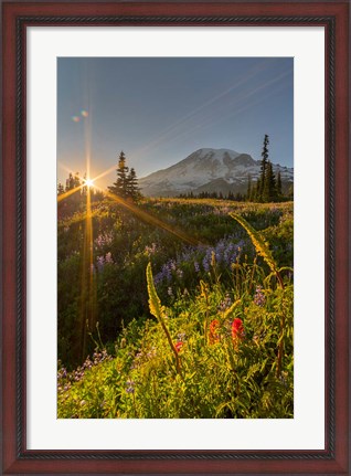 Framed Sunset At Mazama Ridge, Washington Print