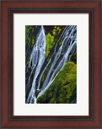 Framed Panther Falls, Washington State Print