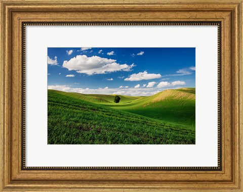 Framed Rolling Wheat Fields With A Lone Tree Print