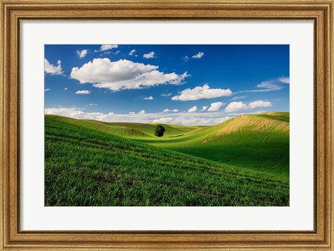 Framed Rolling Wheat Fields With A Lone Tree Print
