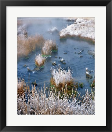 Framed Frost Along White Creek, Wyoming Print