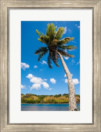 Framed Umatac Bay Palm Tree, Guam Print