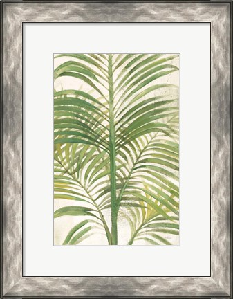 Framed Palms II Bright Print