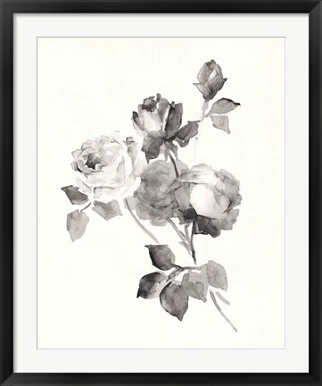 Framed Rose Blossoms Gray Print