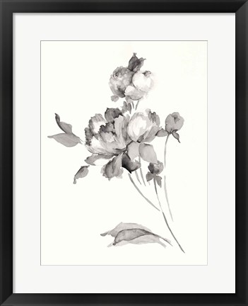 Framed Peony Blossoms Gray Print