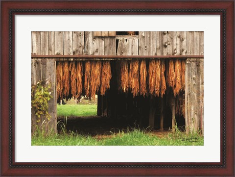 Framed Tobacco Barn Print