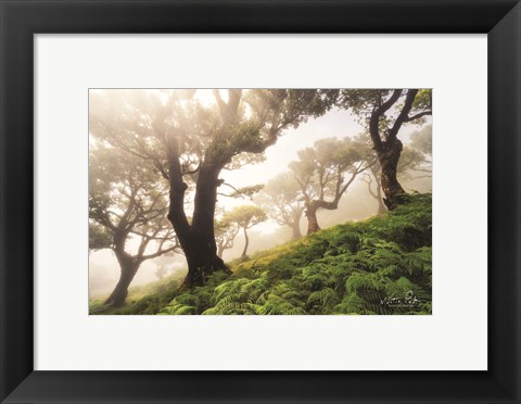Framed Just Some Trees on a Hill Print