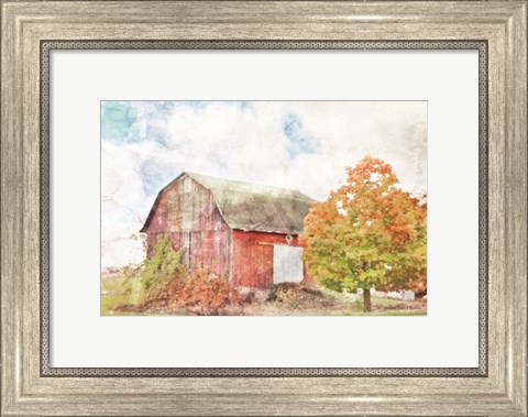 Framed Autumn Maple by the Barn Print