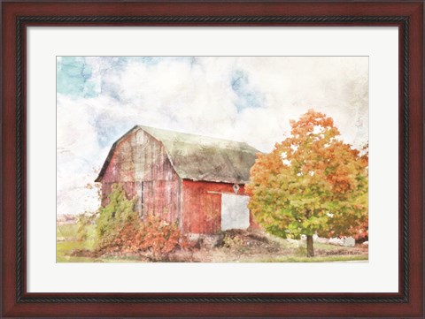Framed Autumn Maple by the Barn Print