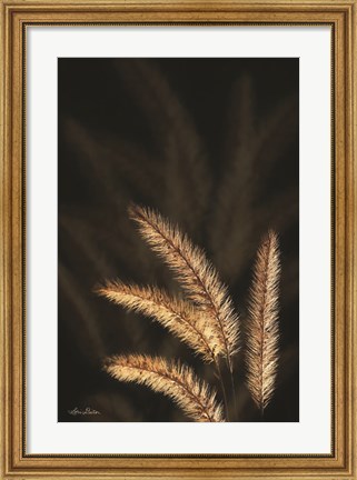 Framed Golden Grass I Print