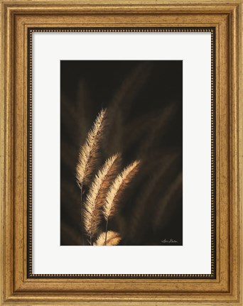 Framed Golden Grass III Print