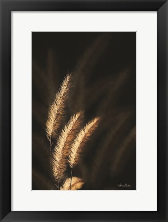 Framed Golden Grass III Print
