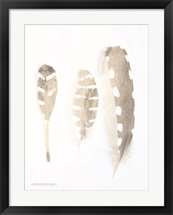 Framed Neutral Feathers Study Print