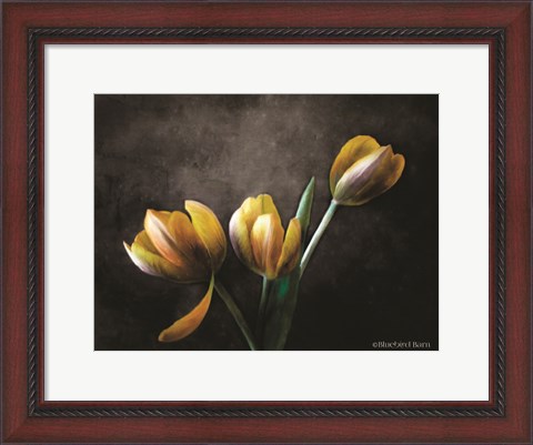 Framed Contemporary Floral Tulips Print
