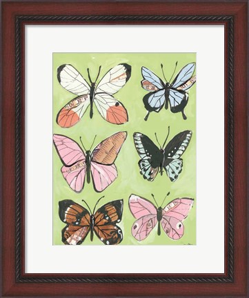 Framed Butterfly Beauty Print