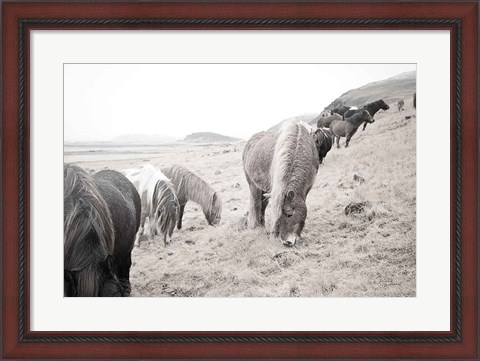Framed Horses of Hofn II BW Print