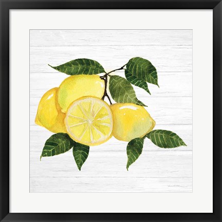 Framed Citrus Garden VI Shiplap Print