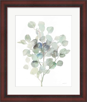 Framed Eucalyptus III Cool Print