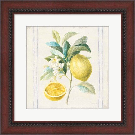 Framed Floursack Lemons IV Sq Navy Print