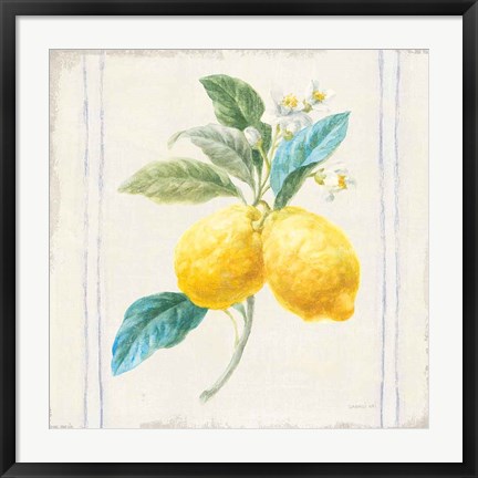 Framed Floursack Lemons III Sq Navy Print