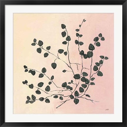 Framed Botanical Study VII Blush Print