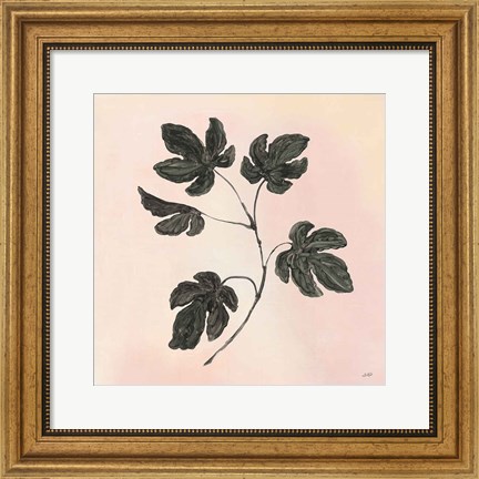 Framed Botanical Study III Blush Print