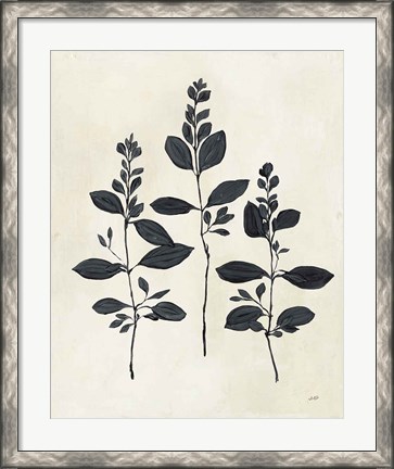 Framed Botanical Study IV Print