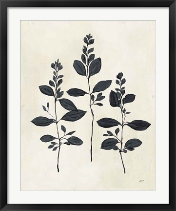 Framed Botanical Study IV Print