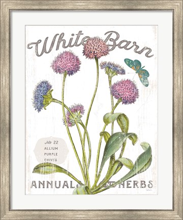 Framed White Barn Flowers VI Print