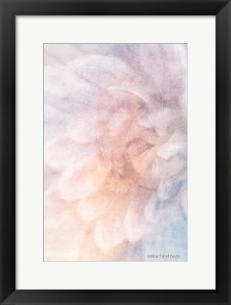Framed Soft Dahlia Pastel Blue Lilac Print