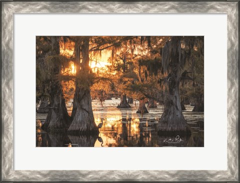 Framed Sunset in the Swamps Print