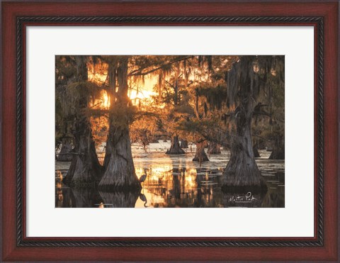 Framed Sunset in the Swamps Print
