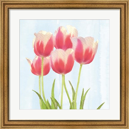 Framed Fresh Spring Tulips III Print