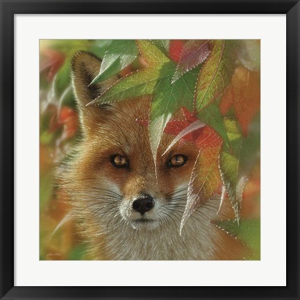 Framed Autumn Red Fox Print
