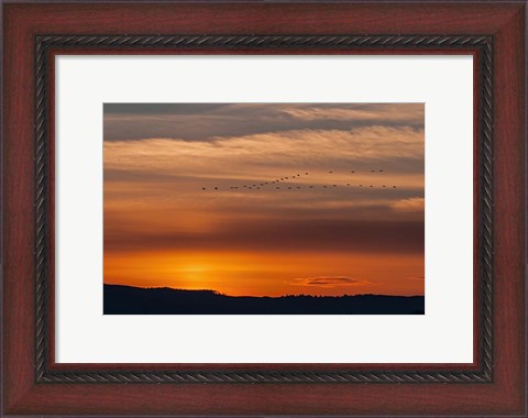 Framed Sunset Flight Print
