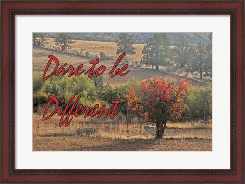 Framed Dare to be Different Print