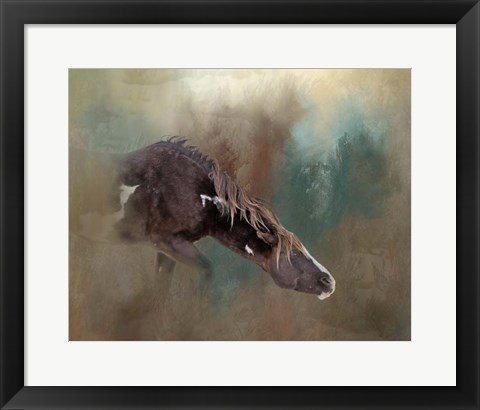 Framed Majesty - Wild Stallion Print