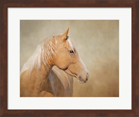 Framed Silk - Mustang Mare Print