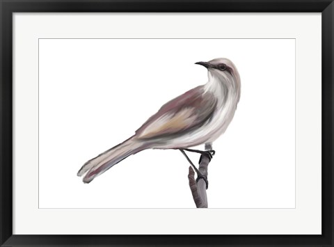 Framed Bird V Print