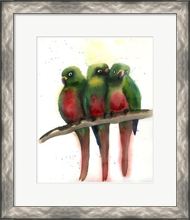 Framed Green Parrots Print