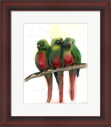Framed Green Parrots Print