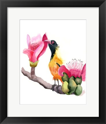 Framed Pink Beak Print