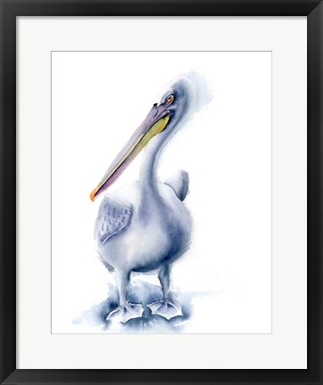 Framed Pelican Blue Print