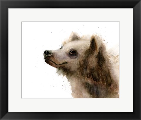 Framed Bear III Print